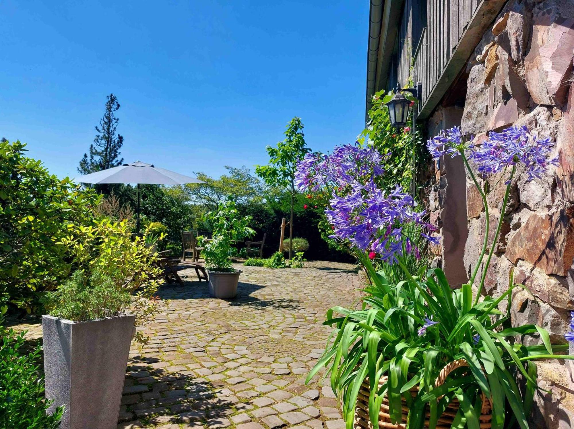 Kleines Haus Mitten In Der Natur Mit Eigener Terrasse Und Sonnenbalkon Halver 外观 照片